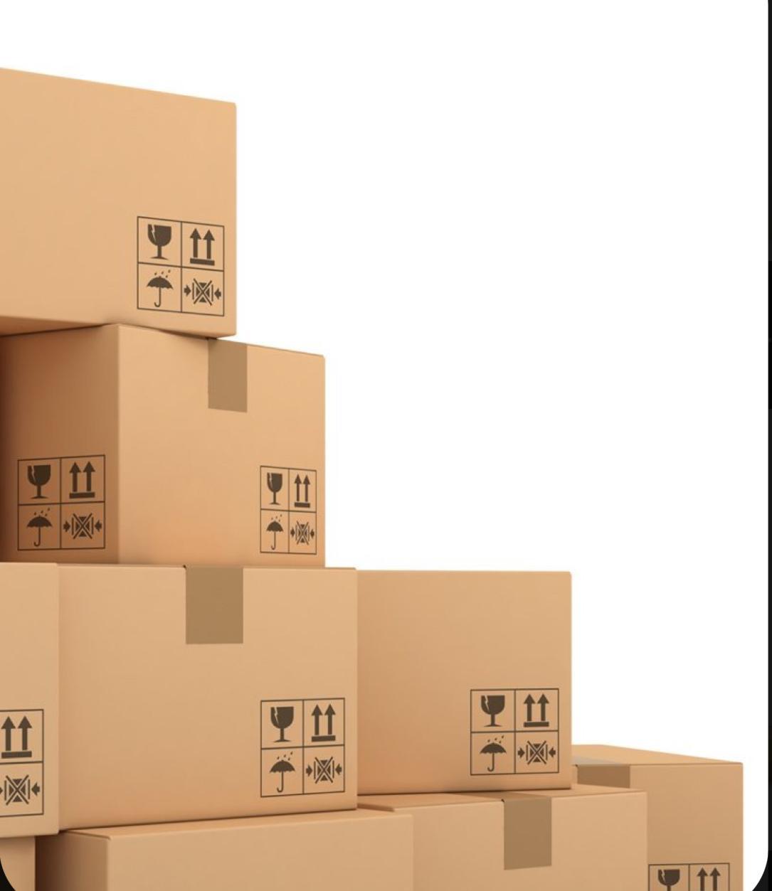 WhatsApp Image 2024-08-14 at 13.58.16