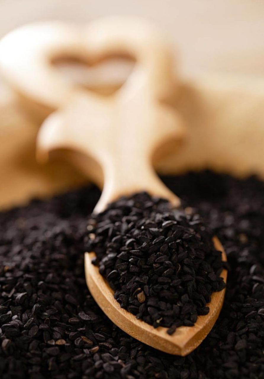 WhatsApp Image 2024-08-23 at 00.08.44 (3)