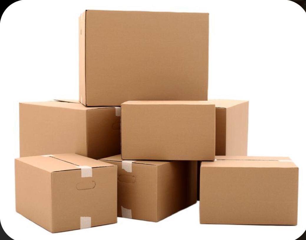 WhatsApp Image 2024-08-24 at 20.11.40